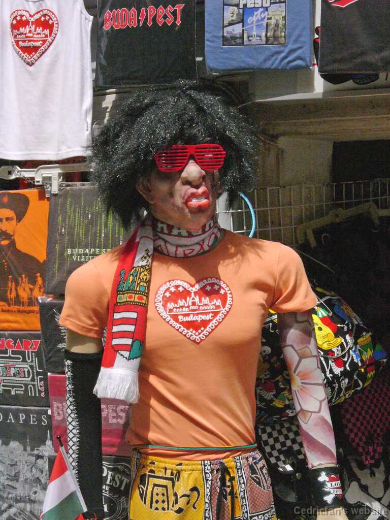 L1050223
