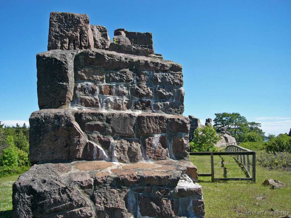 L1000282