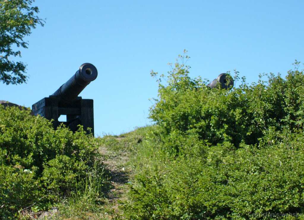 L1000285