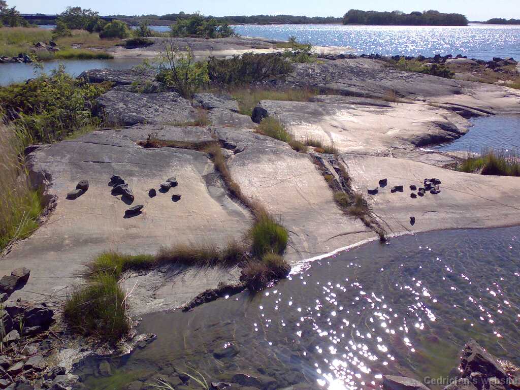 230620101476