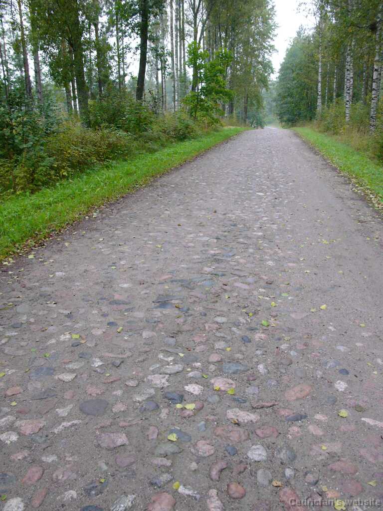 L1050903