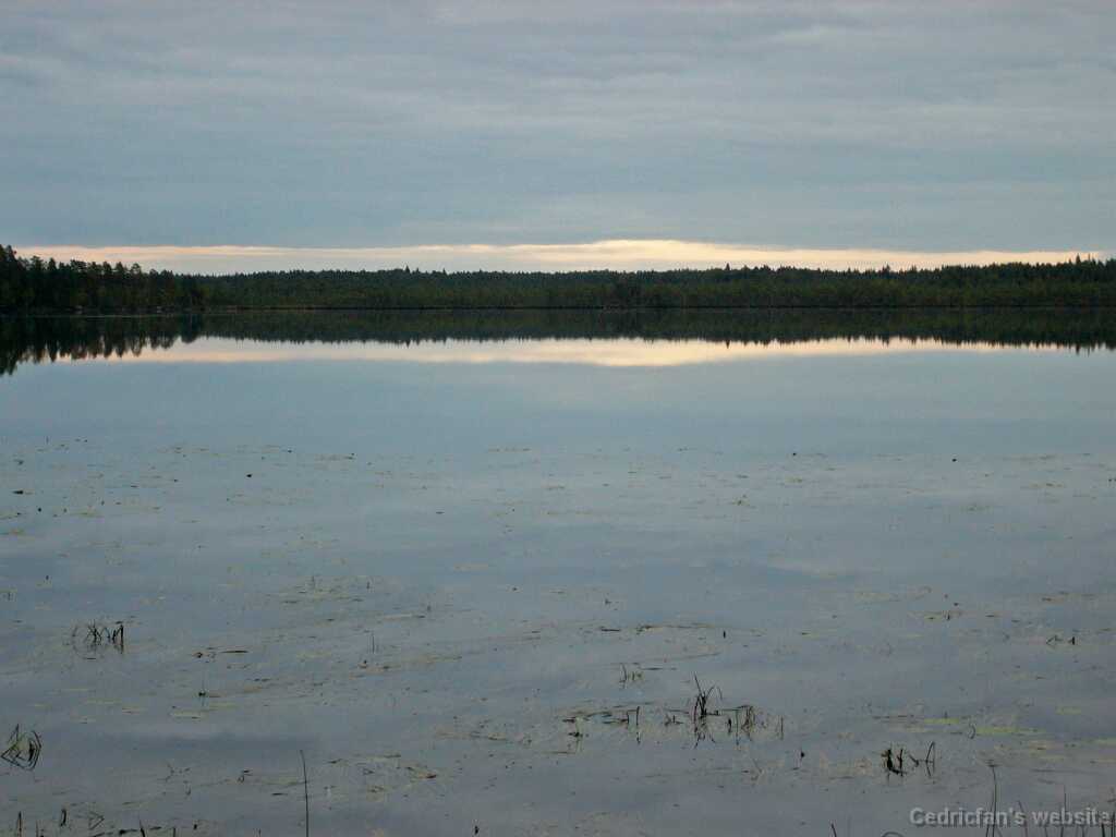 L1000646