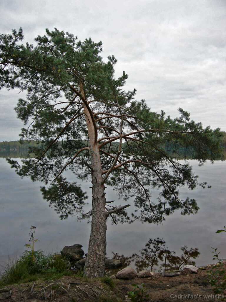 L1000648