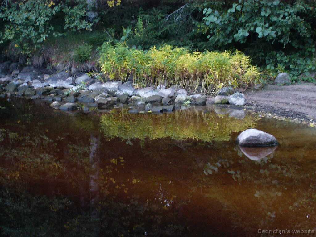 L1000651