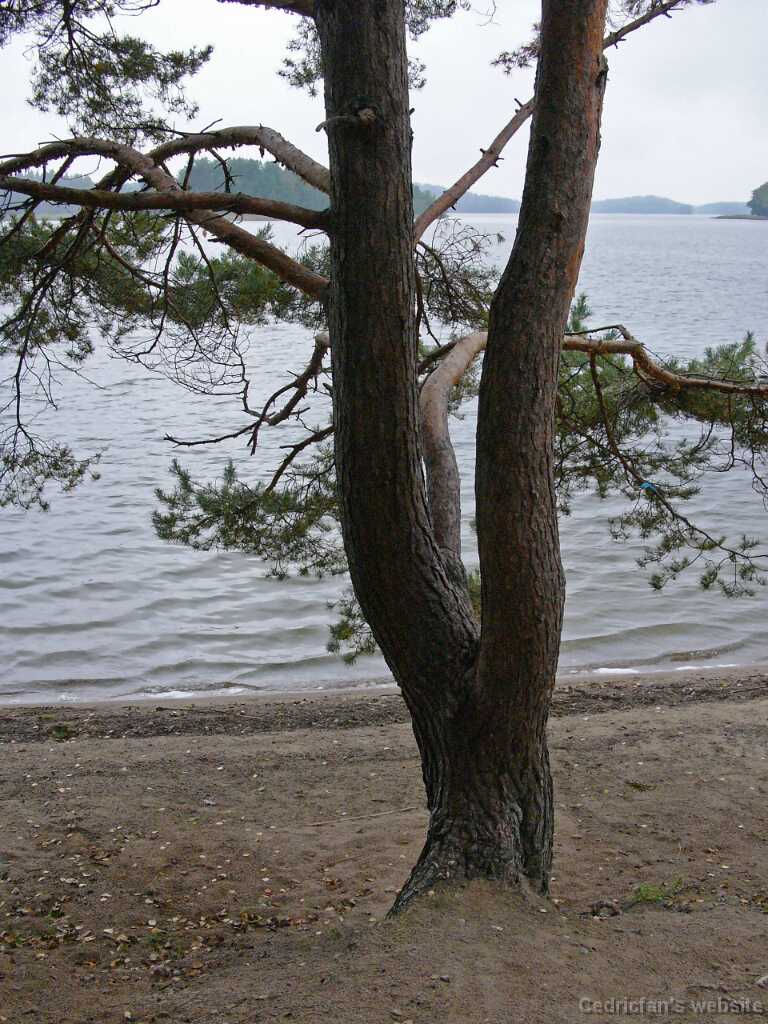 L1050916