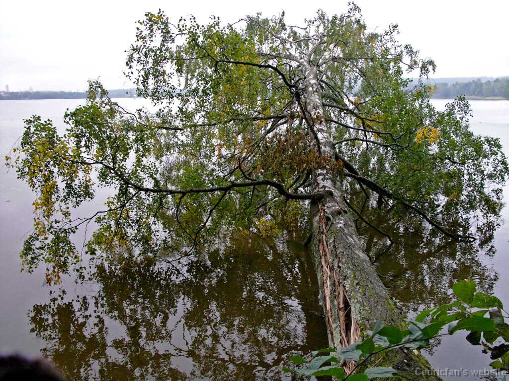 L1050923