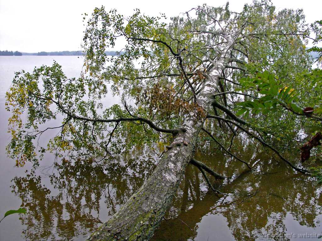 L1050925