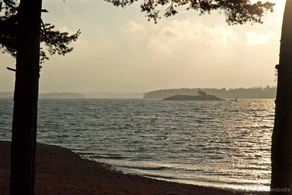 DSCF2518
