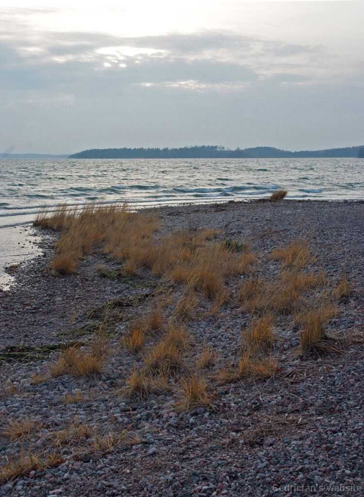 DSCF2531