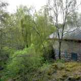 10 05 May spring