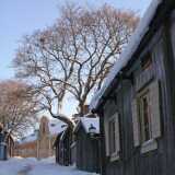 10 12 Winter MidAge