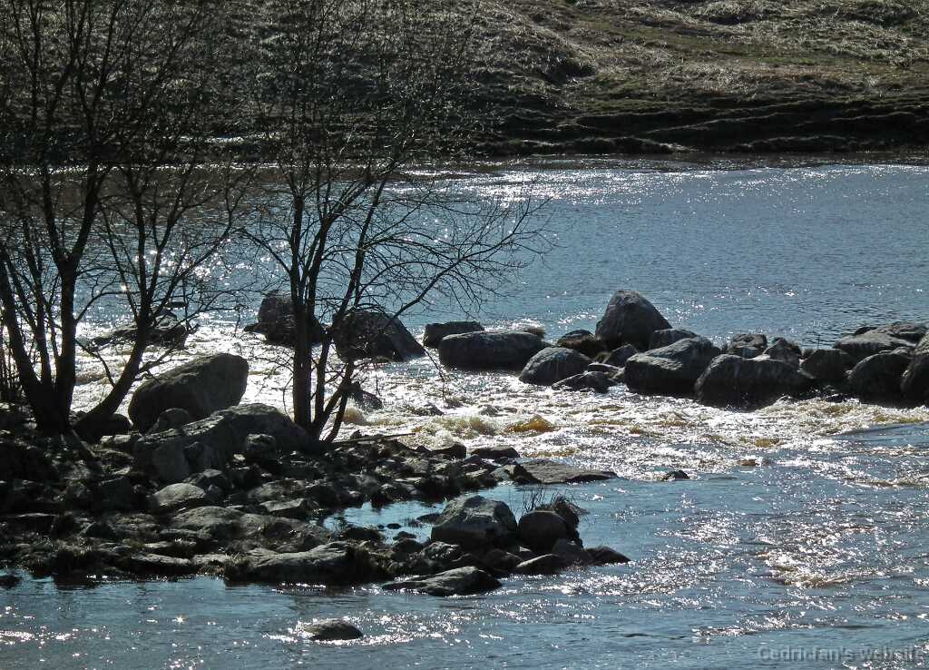 DSCF2675