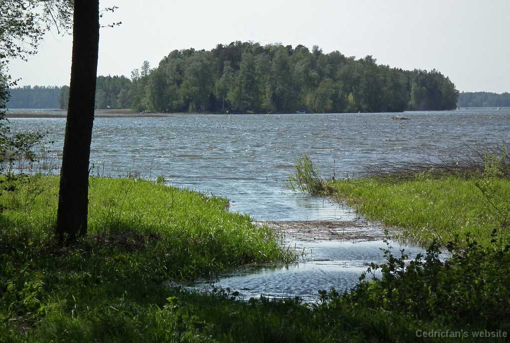 DSCF6004