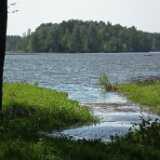 DSCF6004