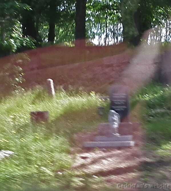 DSCF6571