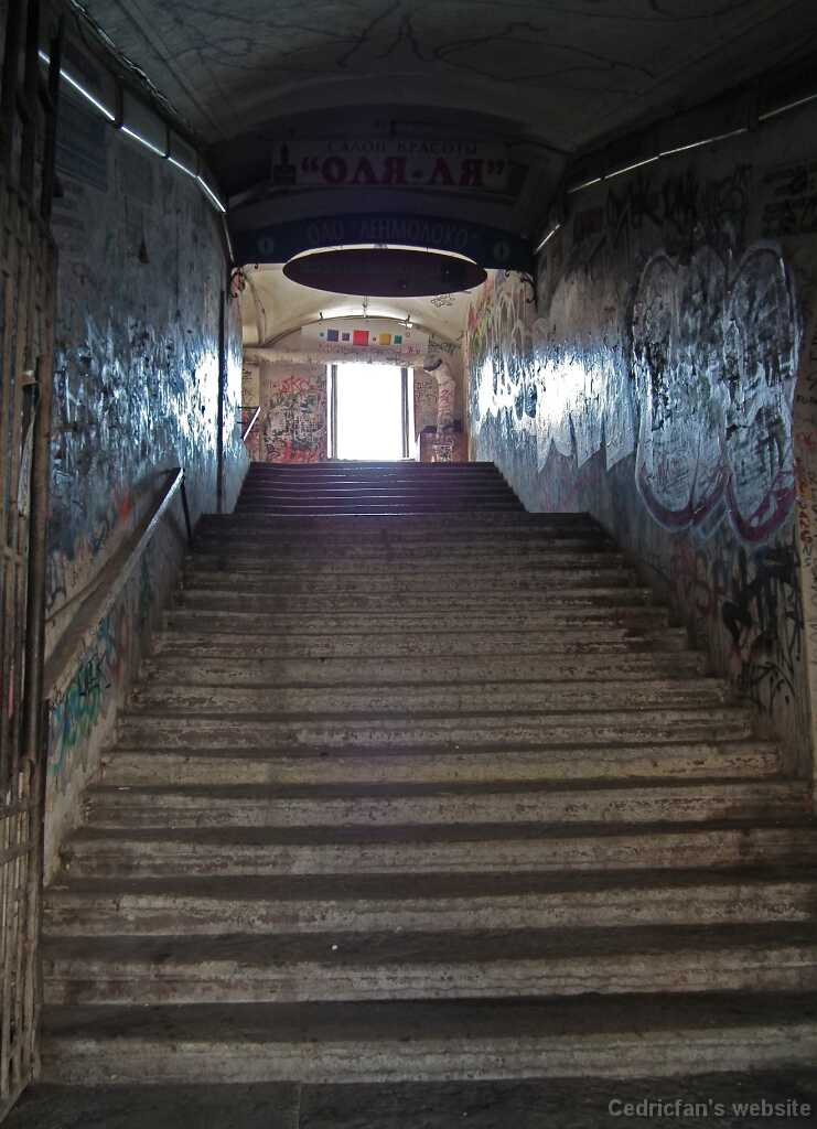 DSCF6220