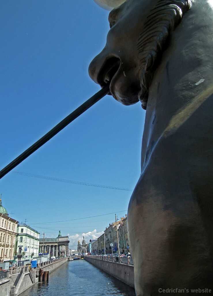 DSCF6229