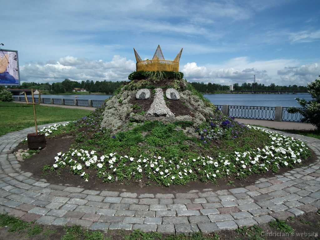 DSCF6562