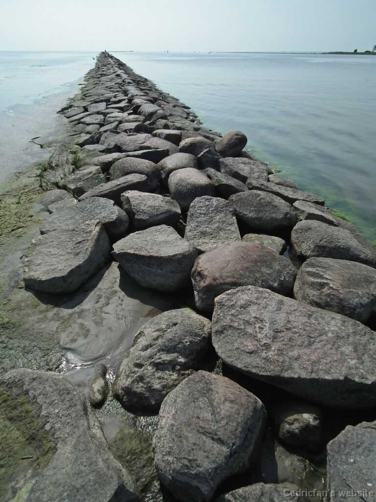 DSCF7135