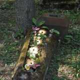DSCF7146
