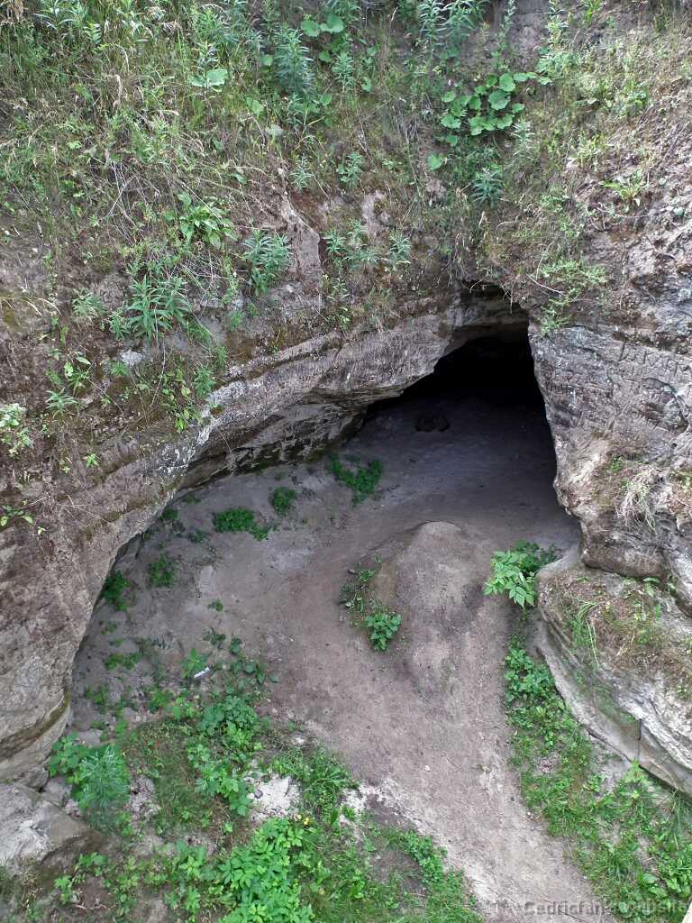 DSCF7061