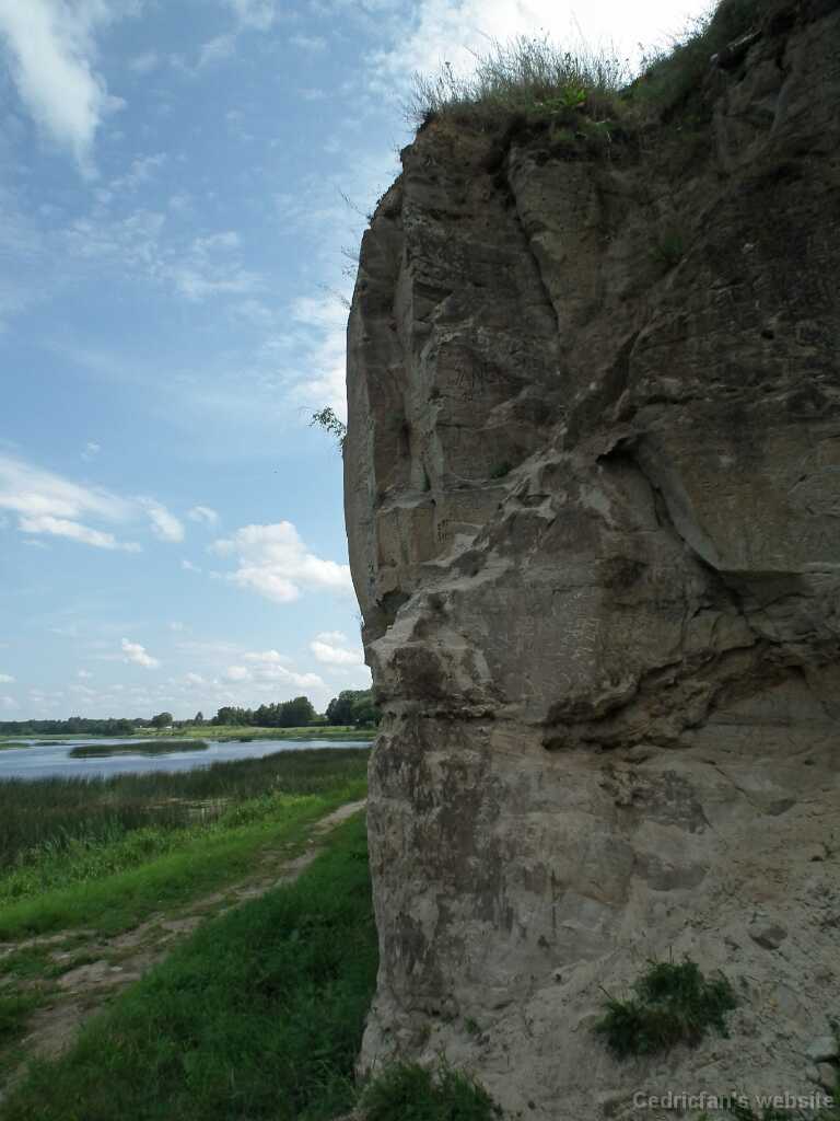 DSCF7065