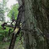 DSCF7081