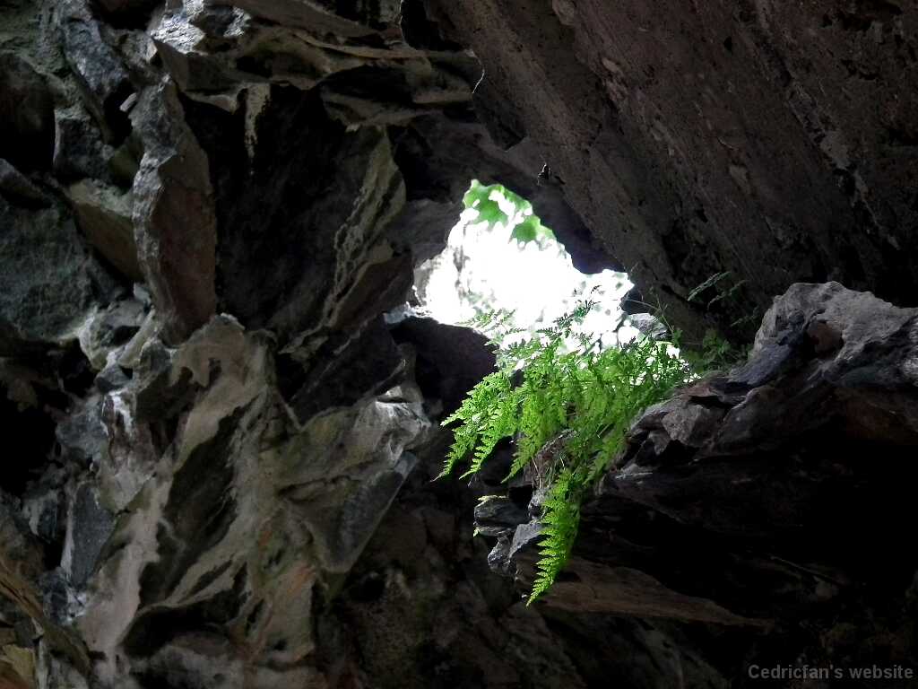 DSCF7034