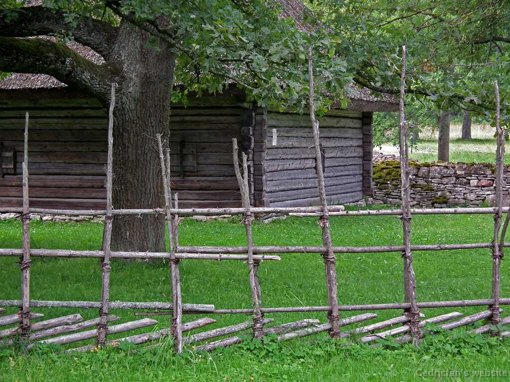 DSCF7169