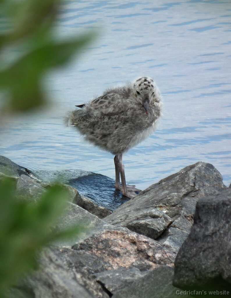 DSCF6891