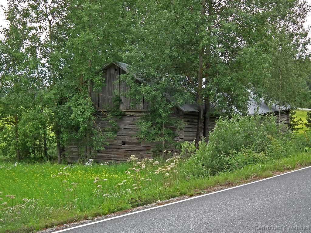 DSCF6947