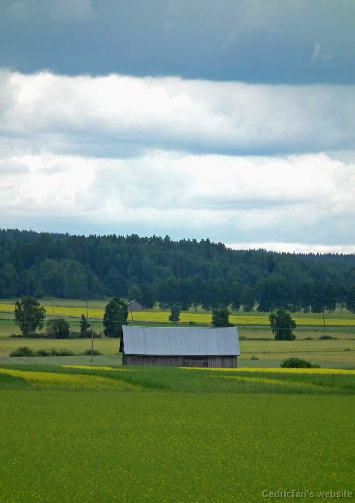 DSCF6950