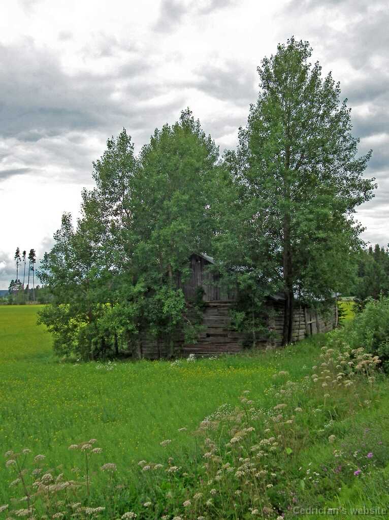 DSCF6951