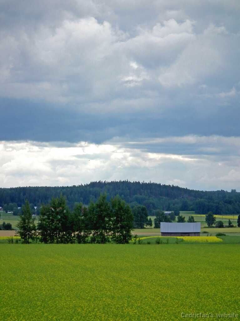 DSCF6958