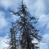11 05 Koli 2