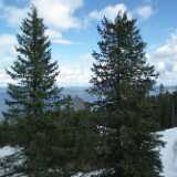 11 05 Koli