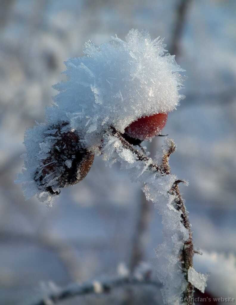 DSCF8639