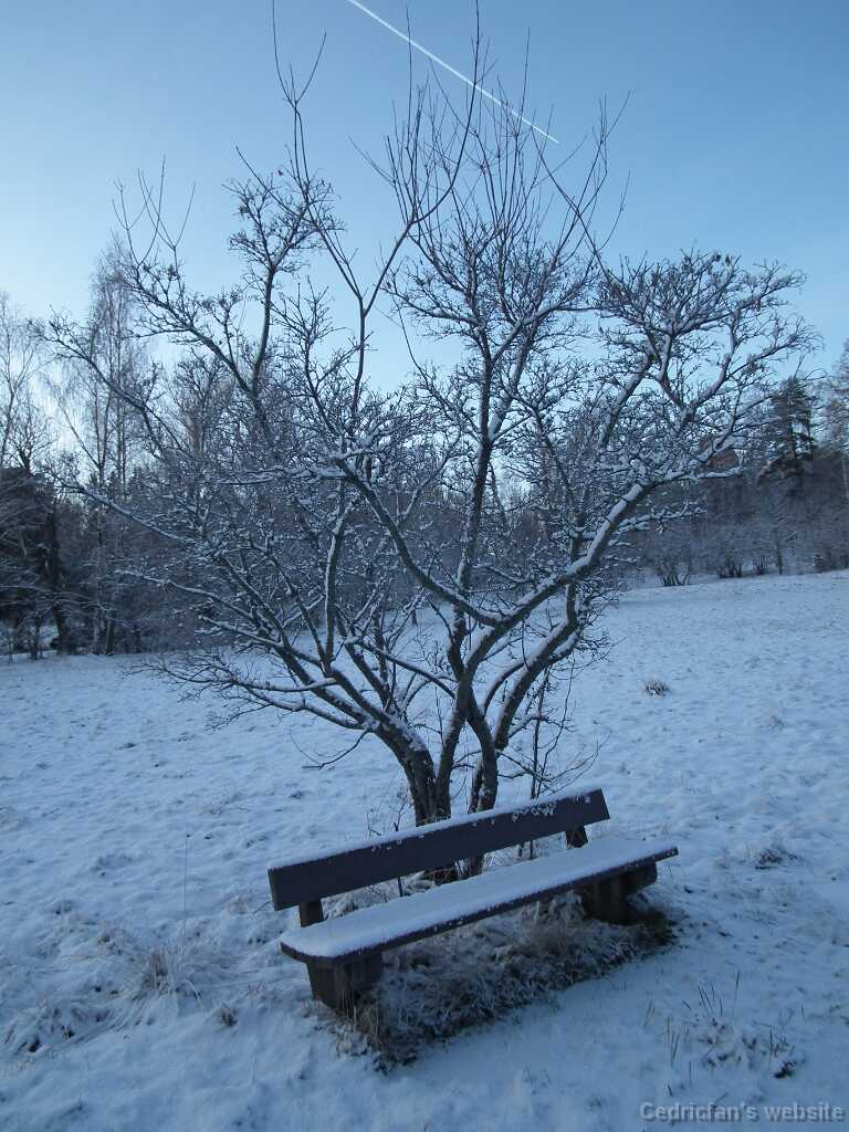 DSCF8642