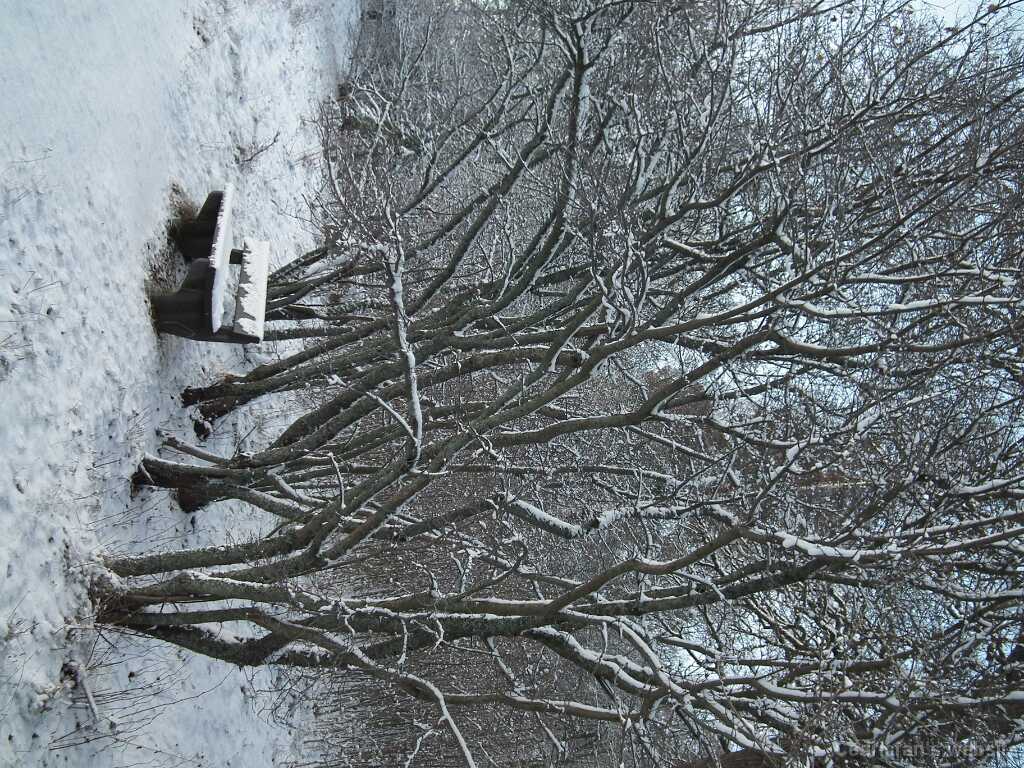 DSCF8643