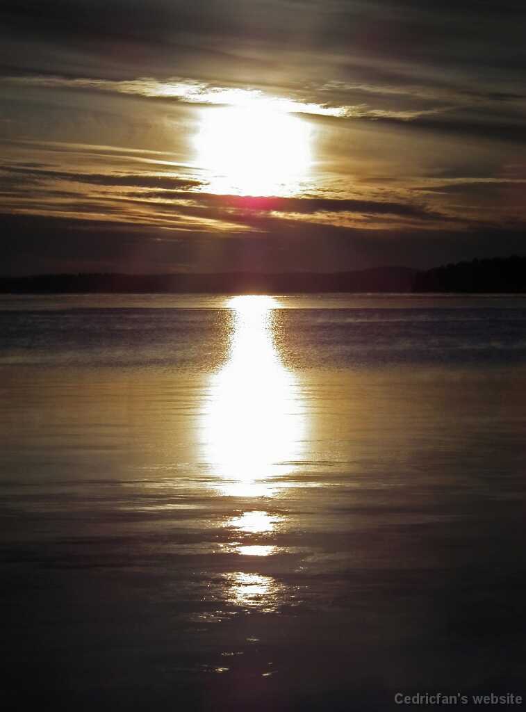 DSCF8652