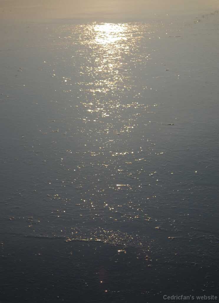 DSCF8656