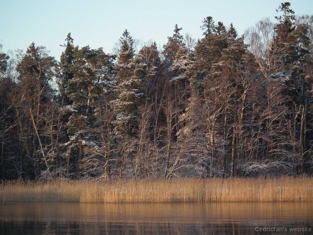 DSCF8660