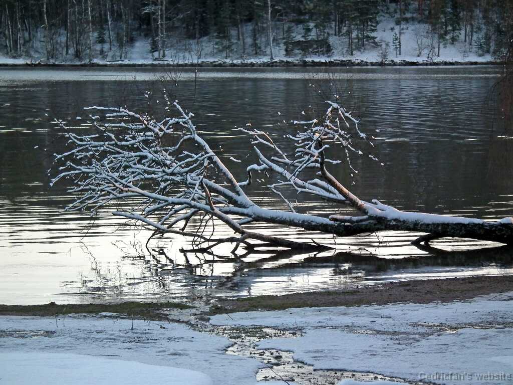 DSCF8576