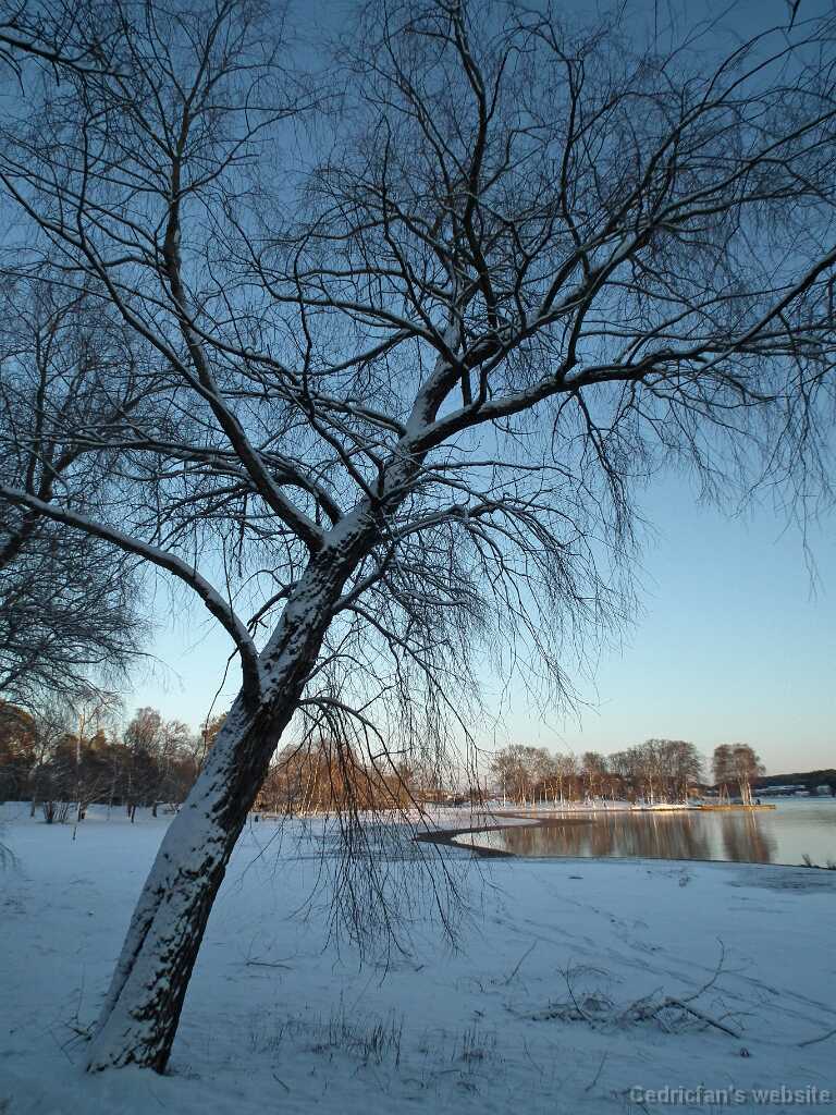 DSCF8577