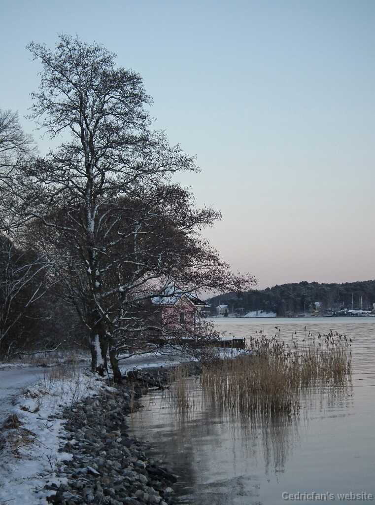 DSCF8602