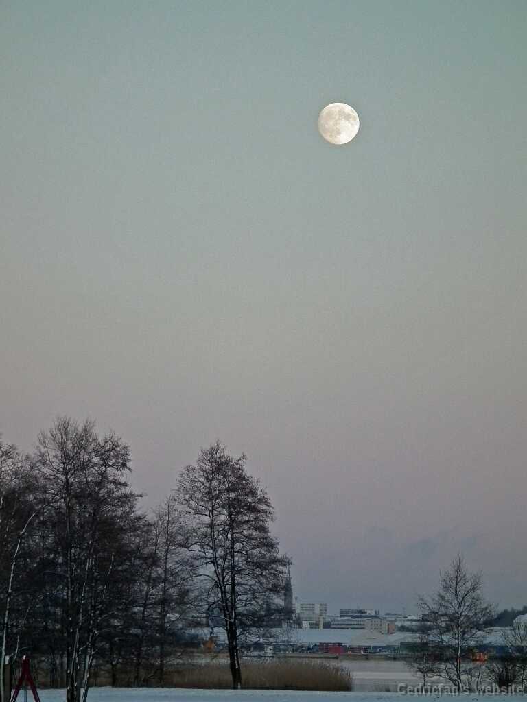 DSCF8606