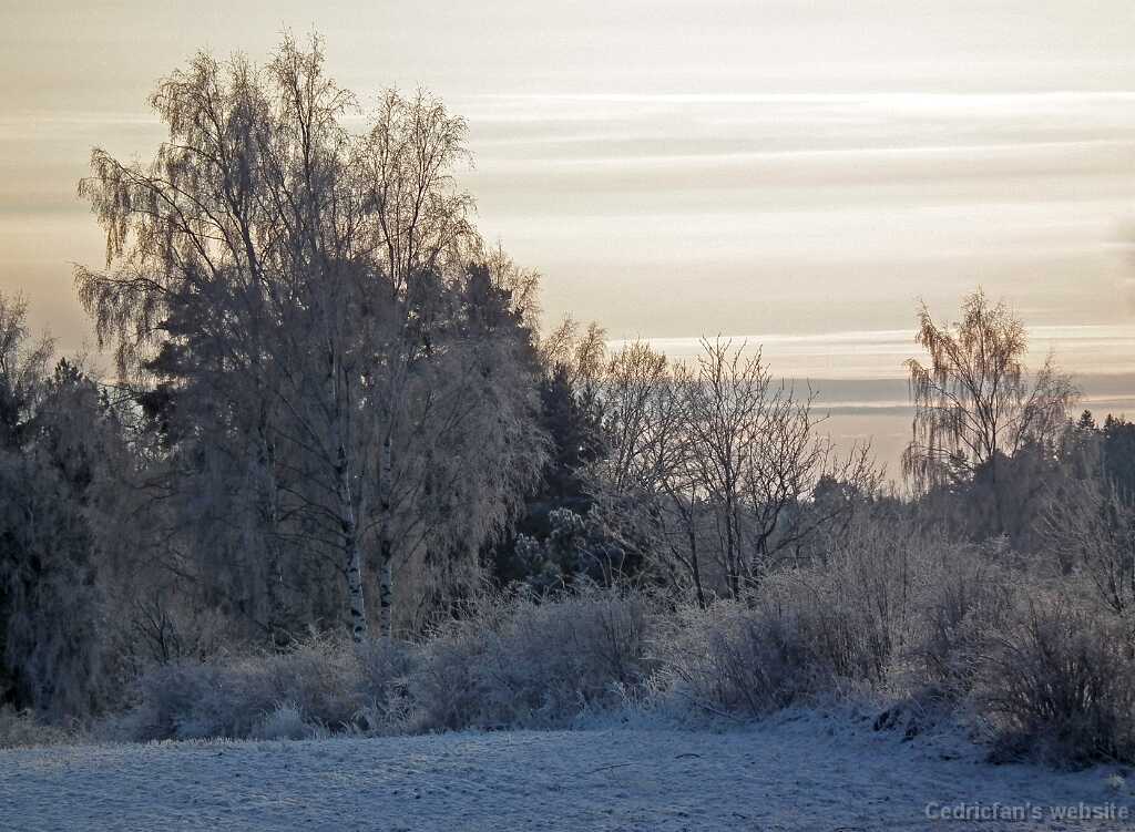 DSCF8610
