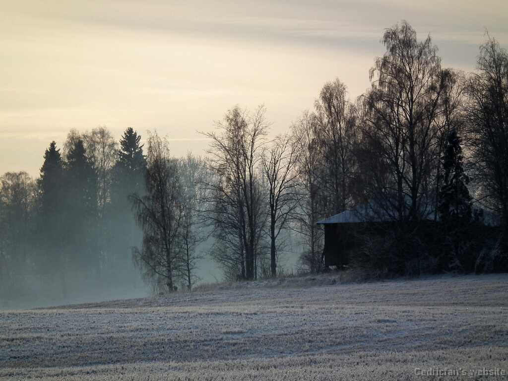 DSCF8614