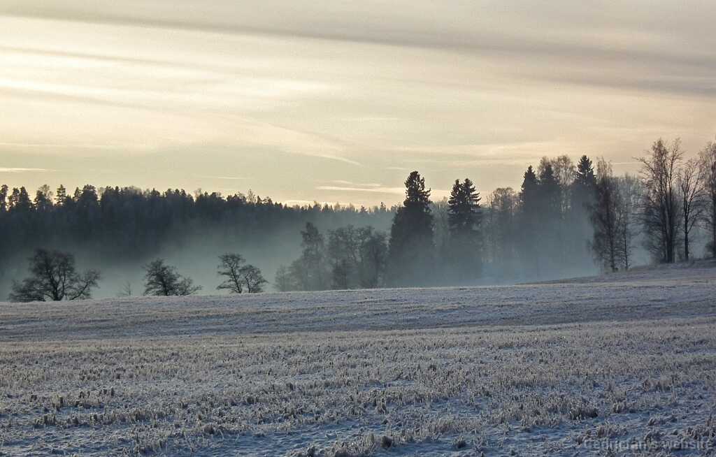 DSCF8615