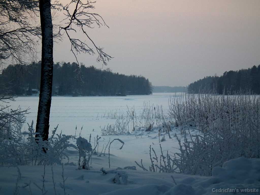 DSCF8751